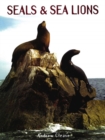 Image for Seals &amp; sea lions