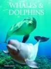 Image for Whales &amp; dolphins