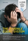 Image for Juvenile Court System