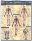Image for Circulatory System