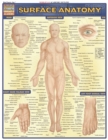 Image for Surface Anatomy