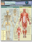 Image for Anatomy Fundamentals: Life Science