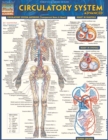 Image for Circulatory System Advanced