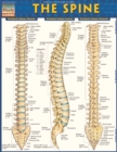 Image for The Spine