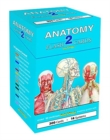 Image for Anatomy 2 Flash Cards (300 cards)