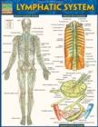 Image for Lymphatic System