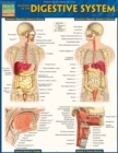 Image for Anatomy of the Digestive System