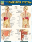 Image for Anatomy of the Digestive System: QuickStudy Reference Guide