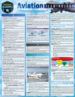 Image for Aviation Terminology: a QuickStudy Reference Guide