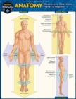 Image for Anatomy - Directions, Planes, Movements &amp; Regions: a QuickStudy Digital Reference Guide