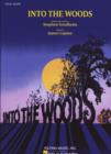 Image for Into the Woods