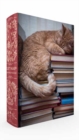Image for Cat Nap Book Box Puzzle