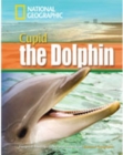 Image for A Dolphin Named Cupid