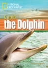 Image for A Dolphin Named Cupid : Footprint Reading Library 1600