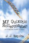 Image for My Quixotic Rollercoaster : A 13-Month Poetic Journey