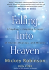 Image for Falling Into Heaven : A Skydiver&#39;s Gripping Account of Heaven