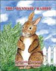 Image for The Wannabe Rabbit