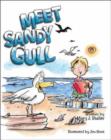 Image for Meet Sandy Gull