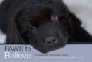 Image for Paws to Believe