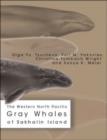 Image for The Western North Pacific Gray Whales of Sakhalin Island