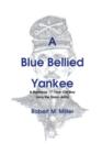 Image for A Blue Bellied Yankee : A Runaway 17 Year Old Boy Joins the Union Army