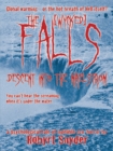 Image for Falls: Descent into the Maelstrom