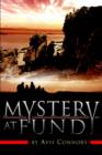 Image for Mystery at Fundy