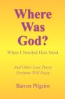 Image for Where Was God?