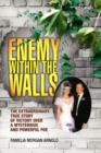 Image for Enemy Within the Walls