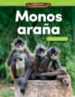 Image for Monos araäna: valor posicional
