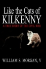 Image for Like the Cats of Kilkenny : A True Story of the Civil War