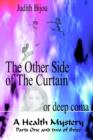 Image for The Other Side of the Curtain : A Health Mystery