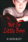 Image for Not So Little Boys