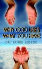 Image for Why God Uses What You Have
