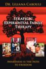 Image for Strategic Experiential Family Therapy