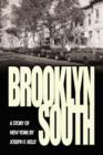 Image for Brooklyn South : A Story of New York
