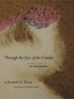 Image for Through the eyes of the condor  : an aerial vision of Latin America