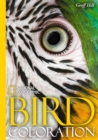 Image for National Geographic Bird colouration