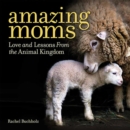 Image for Amazing moms  : love and lessons from the animal kingdom
