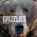 Image for Face to Face With Grizzlies