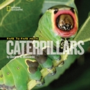 Image for Face to Face with Catepillars