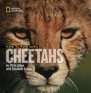 Image for Face to Face With Cheetahs