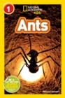 Image for National Geographic Kids Readers: Ants