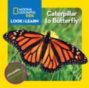 Image for Caterpillar to Butterfly