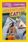 Image for Adventure cat!