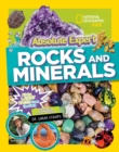 Image for Absolute Expert: Rocks &amp; Minerals
