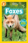Image for Foxes (L2)