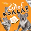 Image for So Cute! Koalas