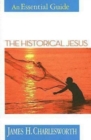 Image for Historical Jesus: An Essential Guide