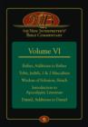 Image for The New Interpreter&#39;s(r) Bible Commentary Volume VI